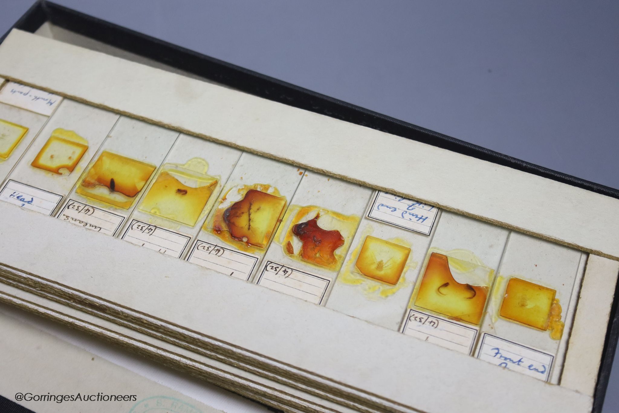 A case of early 20th century microscopes slides and a student's microscope